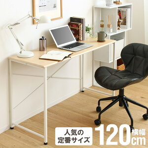 p\RfXN 120cm s45cm fXN Vv [NfXN e[N ݑ  ׋ ֊ ItBX  ȃXy[X  120 V RpNg X wKfXN wK zC