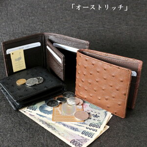 ܂z J[h[ I[Xgb` ܂肽ݍz fB[X Y { TCt   {v t|Cg VRf PR1 A { QSM-100