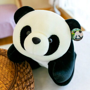 ʂ p_  60cm YQ   bNX 킢 ӂӂ _炩 GG p_ Q xbh[ v[g Mtg 蕨 ̓ a LO q