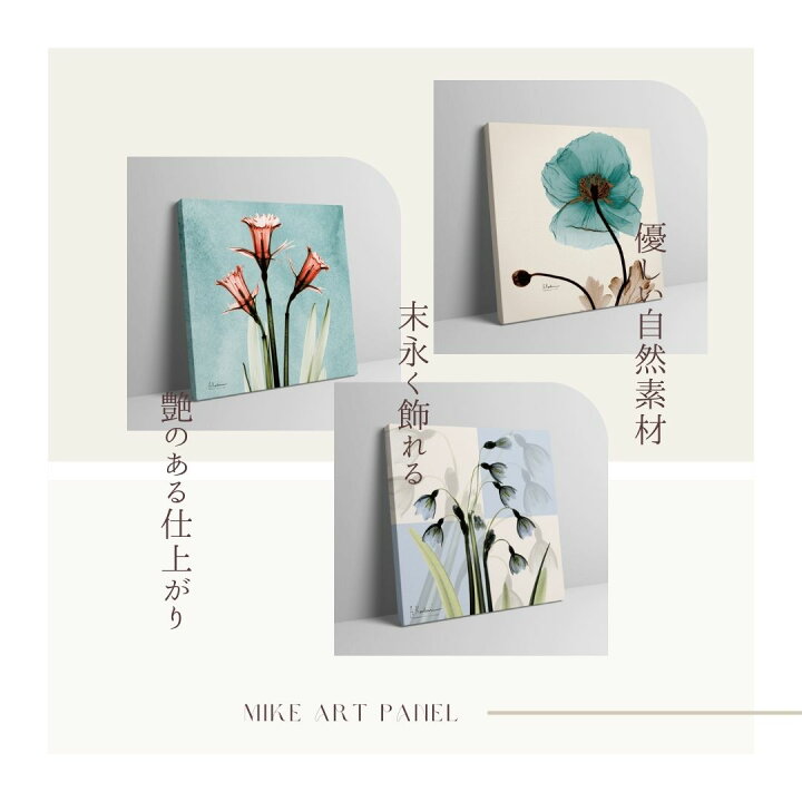 楽天市場】絵画 アートパネル インテリア おしゃれ 壁掛け 北欧 葉 花 