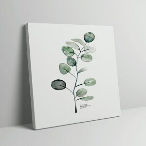 _yV1ʁ^A[gpl  k _ Ǌ| G CeA rO  QɁIA ۉ iŖԂBv[g MtgɂœKAy LoX ؐ yyV