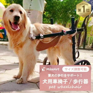 _ubNtCf[P10{^pԈ֎q ^ ^ 2 s Ԃ 둫 s⏕ ybgp y J[g nr hbOEH[J[ wjA Ck PK  p Op 㑫 r O