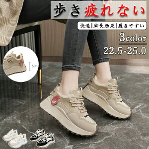  Xj[J[ fB[X lC [ gAbv  r ₷ Ȃ C fB[XV[Y V[Y y EH[LOV[Y ̈ ʊw zCg ubN