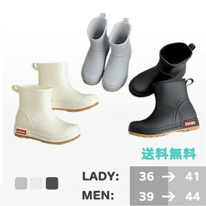  ~J΍ CV[Y Y fB[X CV[Y WjA  j h C   fB[X Cu[c WjA