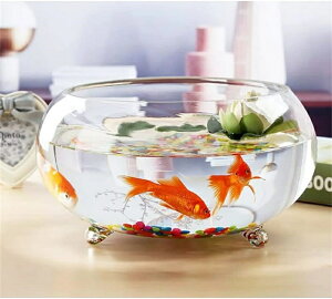 ۂ ̃VN ȉԕr vX`bN e  t@bV z[ԕr  ۂƒpV_[ ȃJ ItBXMtg t[x[X