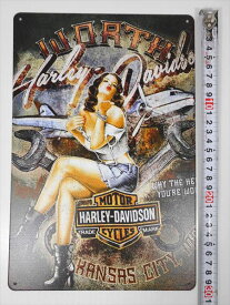 ◎【 ブリキ看板 プレート 】『 ハーレーダビッドソン/Harley Davidson 』ティンパネル ティンサイン アメリカン雑貨 アメリカ雑貨 アメ雑 レトロ アメリカン 看板 コレクション インテリア