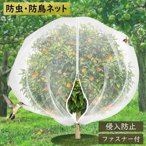 hlbg AیJo[ 2Zbg یJo[ hlbg bVВ t@Xi[^Cv  hlbg ΍ |plbg ؉  ʋC   ʋC 