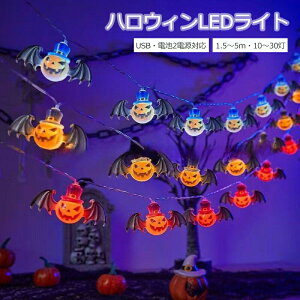 【ポイント2倍】ハロウィン 飾り かぼちゃ カボチャ 南瓜 蝙蝠 イルミネーションライト LEDイルミネーション 発光体 USB 電池式 暖光 白光 赤光 ライト 屋外 玄関 保育園 室内 室外 飾り 吊り飾