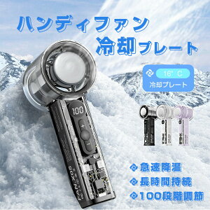 gѐ@ @ y2025f ڐG⊴ }pz nfBt@ pv[gt ͑ usb[d 莝@ 6iKʒ ԘA Jri/X^ht ^