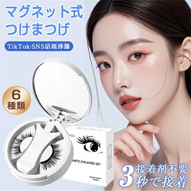 つけまつげ マグネット式 ナチュラル アイスクリスタルブラック 磁気 つけまつ毛 一体型 再利用 接着剤不要 磁石まつ毛 サラ すっぴん感 ナチュラまつげ 薄いメイク向き