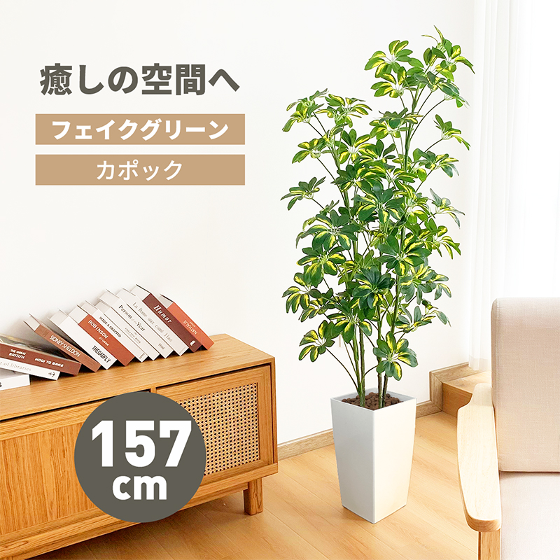 180cm観葉植物（シャフレラ）+鉢付き inbedding.com.tr