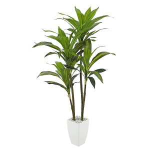 ySALE!1000~OFF4998zRAKU tFCNO[ ^  A 120cm 150cm [J | J|bN ou[  ϗtA tFCN ItBX rO   O j