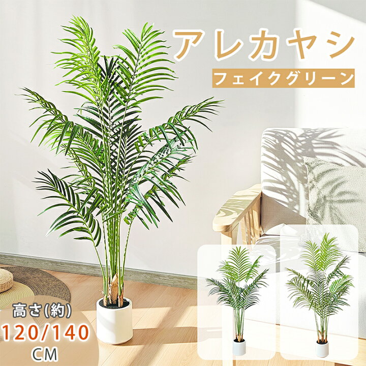 楽天市場】【タイムセール！800円OFF⇒5198】アレカヤシ フェイク 