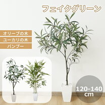 楽天市場】観葉植物 フェイク 大型の通販