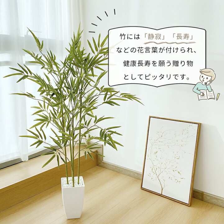 楽天市場】【マラソン限定！1000円OFF⇒5998】RAKU フェイクグリーン