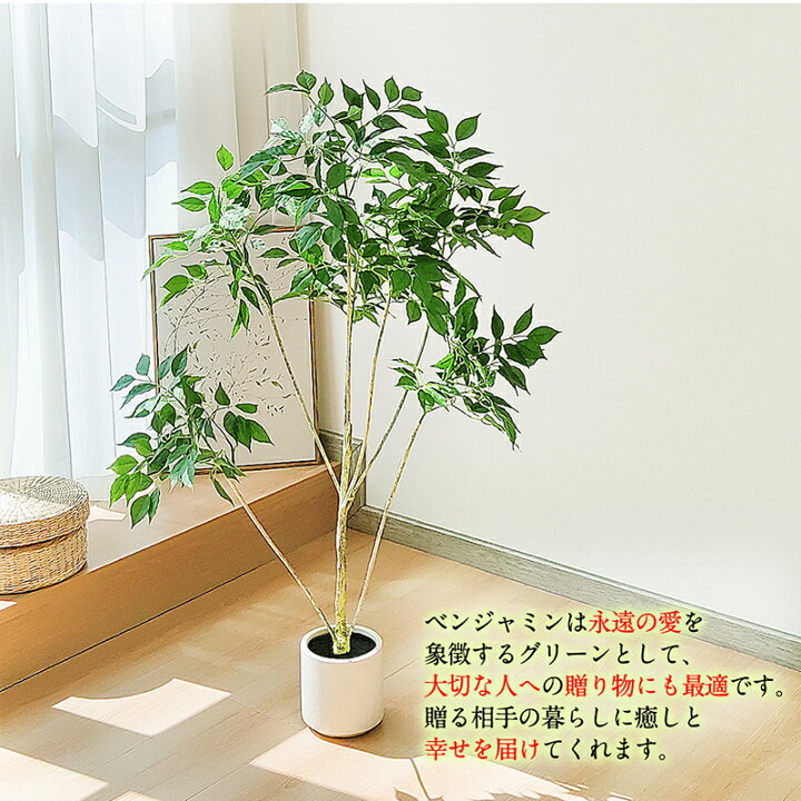 楽天市場】【マラソン限定！800円OFF⇒6198】RAKU フェイクグリーン 