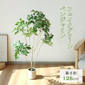 ySALE!1000~OFF5998zRAKU tFCNO[ xW~ 125cm ^ t {  O  rO ItBX CeA tFCNA ϗtA tFCN lHϗtA lHϗt