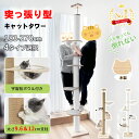 【SALE!1000円OFF⇒7898！】＼楽天1位・20冠達成／RAKU 日本メーカー 安心保証 キャットタワー 極太 突っ張り スリム …