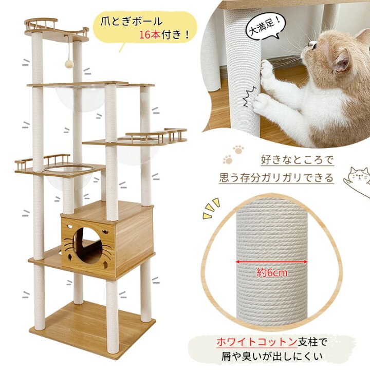 楽天市場】【P3倍！1500円OFF⇒10180】＼楽天1位常連／RAKU キャット 