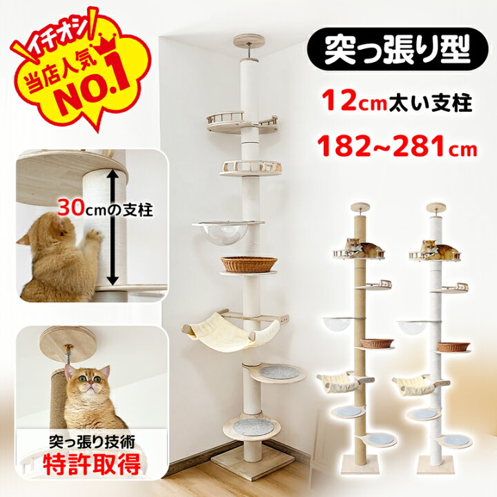 楽天市場】【マラソン限定！1000円OFF⇒11798】【突っ張り技術特許 