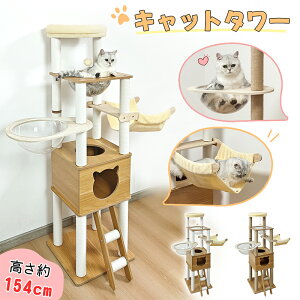 RAKU Lbg^[ ^ ؐ u ^L ^L VjAL 154cm  FD  nbN ܂Ƃ zCgRbgx W] LnEX || R[i[Kp lp^y