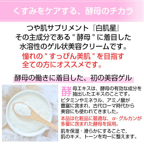 エポラーシェハイエストゲル