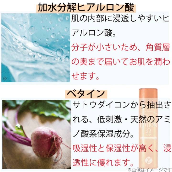 楽天市場】【12/13・400円クーポンあります！】【公式】エポラーシェ