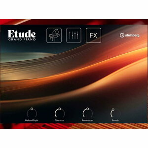 �X�^�C���o�[�O Etude Steinberg DTM �\�t�g�E�F�A �s�A�m�����s�_�E�����[�h�Łt