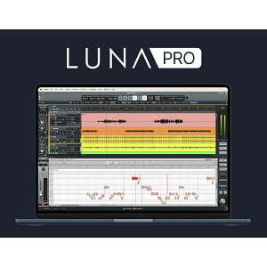 sLy[` 12/25܂ŁtUniversal Audio LUNA PRO 2.0 DAW \tgEFA ~bNX }X^Os_E[hŁt
