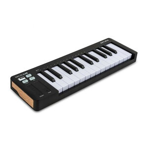 Arturia MIDIL[{[h 25 MicroLab MK3 BK ubN