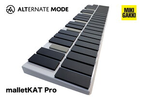 Alternate Mode dq}o malletKAT Pro 8ywith gigKAT 2z3IN^[u@}bgJbg