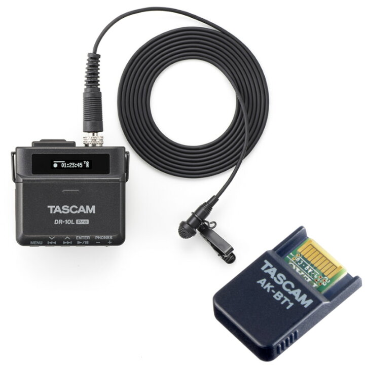 楽天市場】《在庫あり 即納可能》 TASCAM タスカム DR-10L Pro 