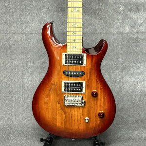 GLM^[ PRS |[[h X~X SE Swamp Ash Special - VS - Vintage Sunburst pGIGBAGt 2023 s摜̏i͂܂t