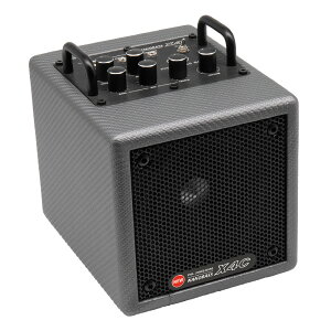 s12\t Phil Jones Bass tBW[Y NANO BASS X4C Carbon Silver s100t J[{EVo[ R{Av ^ x[X Av