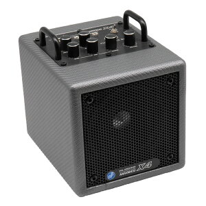 Phil Jones Bass �t�B���W���[���Y NANO BASS X4 Carbon Silver �s����100��t �J�[�{���E�V���o�[ �R���{�A���v ���^ �x�[�X �A���v