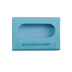 FIIO RETRO NANOpP[X u[ (FIO-SK-SSRETRONANO-L)