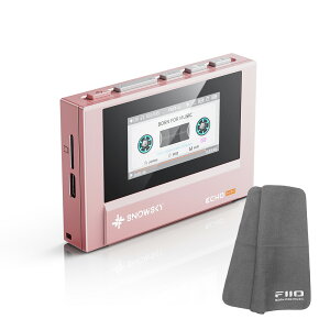 sSNXv[gt FIIO fW^I[fBIv[[ Snowsky ECHO MINI sN (FIO-SSEMINI-P)