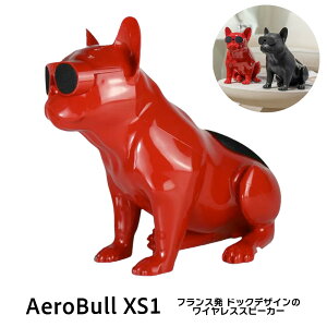Aerobull CX Xs[J[ XS1 (bh) yKizGAu CeA fUC