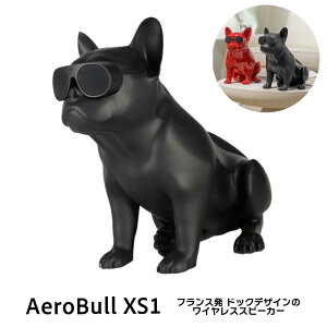 Aerobull CX Xs[J[ XS1 (}bgubN) yKiz GAu CeA fUC