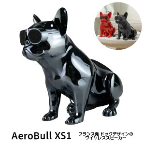 Aerobull CX Xs[J[ XS1 (N[ubN) yKiz GAu CeA fUC