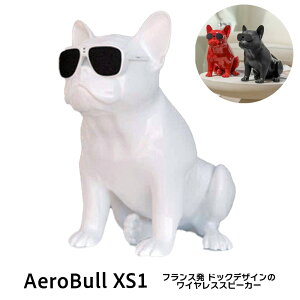 Aerobull CX Xs[J[ XS1 (zCg) yKizGAu CeA fUC