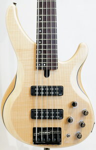 GLx[X YAMAHA }n TRBX605FM (NS) sO؊yBASS SIDEt