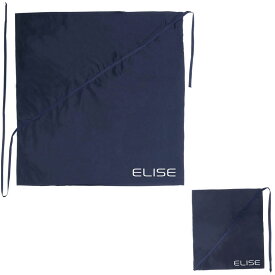 ELISE (エリース) クリーニングスワブ サックス本体用 マウスピース用 2枚セット 【ゆうパケット】