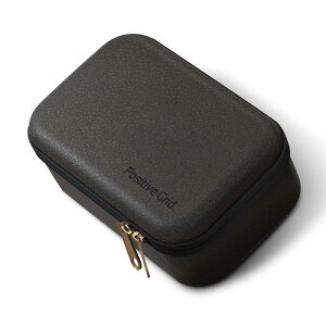 Positive Grid Spark GO Case [Spark GOpP[X]