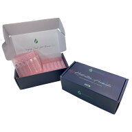 Vocal Mist Nebulizer 専用 等張食塩水 セイリーン 48本入り