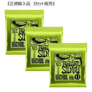 ERNIE BALL A[j[{[ 2221 REGULAR SLINKY M[XL[ GLM^[  010 - 046 3Zbg s䂤pPbgցt