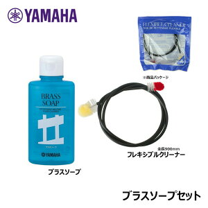YAMAHA y tLVuN[i[ S AuX\[v Zbgz FCLS4A BS2 }n y|Xgzz