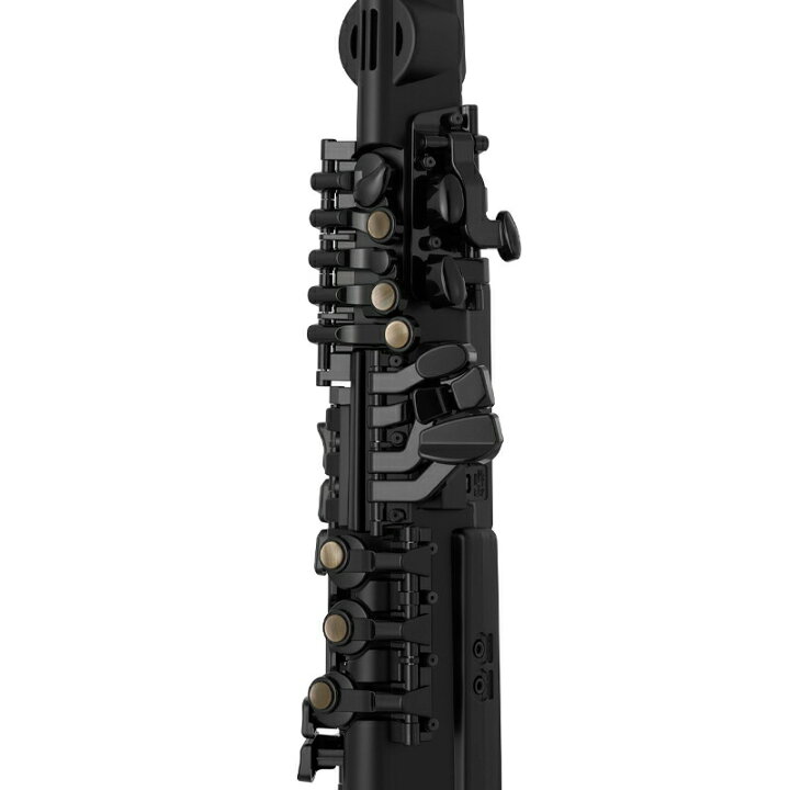 楽天市場】YAMAHA デジタルサックス YDS-120 + ソフトケース DSB-120 