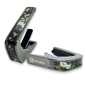�^���A �J�| Thalia Capos Limited Series BC-HUMMINGBIRD / HUMMINGBIRD Black Chrome �M�^�[ 12�C���`�t���b�g�p�b�h�t��