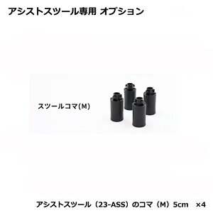 AVXgXc[ 23-ASS ɑΉ IvVi ǉR}yMz 4_Zbg